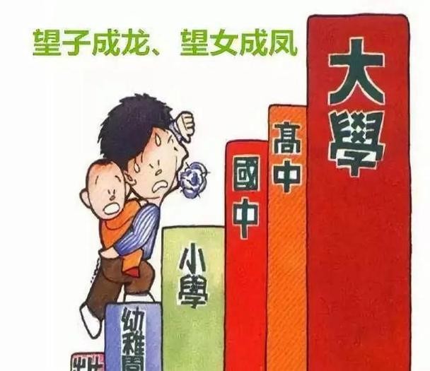 00后没学历的出路 00后没学历的出路男