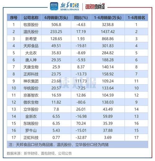 2024最火的生意 月入2万的10个小生意