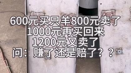 500买一只羊600卖出,700买回,800卖出 一只羊5000买了,6000卖了