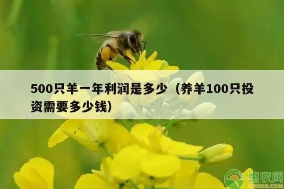 500买羊600卖 小李500块买一只羊,600块卖掉