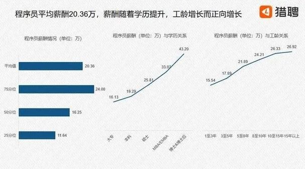 it行业学历最低要求 it行业哪个专业最吃香