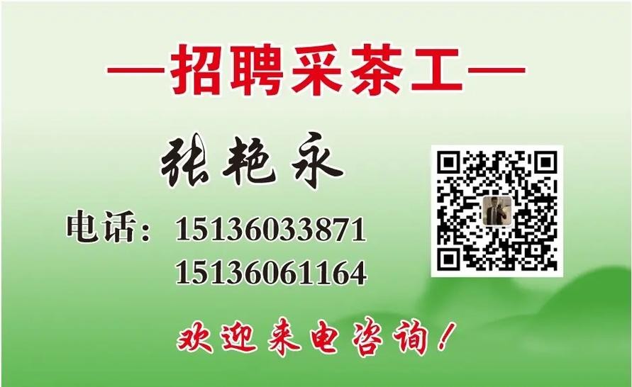 万江本地招聘网 万江本地招聘网最新招聘