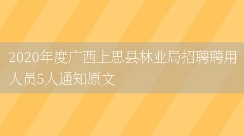 上思本地招聘 上思县找工作