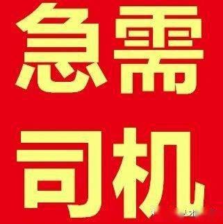 临颍县本地司机招聘群 临颍有招小车司机的吗