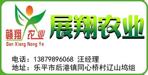 乐平招聘信息本地招聘 乐平市本地招聘信息