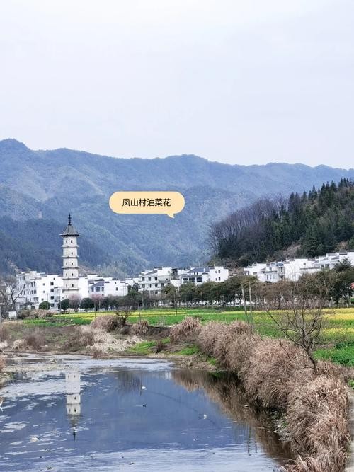 凤山村本地招聘网站在哪 凤山乡凤山村