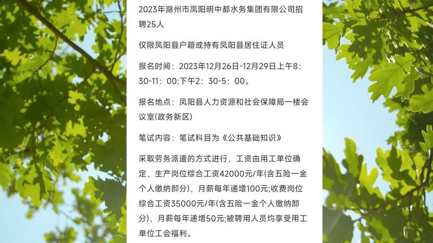 凤阳本地工作招聘 凤阳找工作 招聘网最新招聘