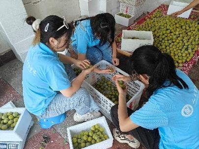 分水本地招聘 分水镇招聘信息