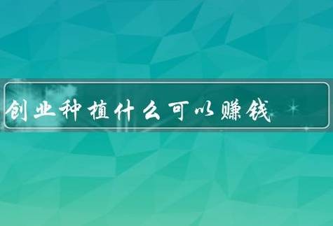 创业干什么最挣钱 创业干什么挣钱快