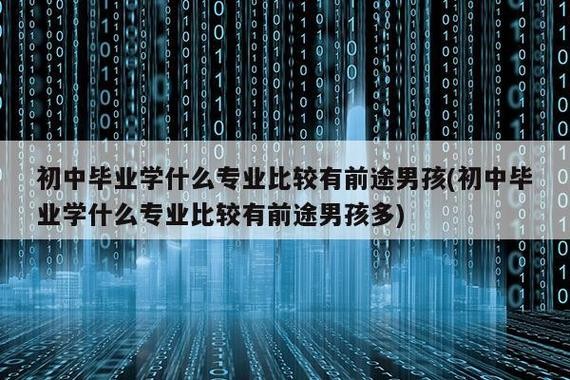 初中毕业男孩学什么技术最好 初中毕业男孩学什么技术最好 专业