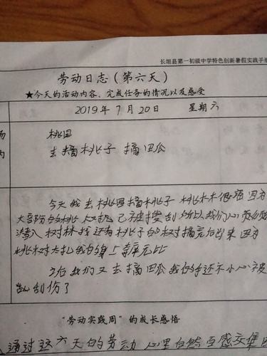 劳动实践记录表劳动过程记录 劳动实践记录表劳动过程记录一年级