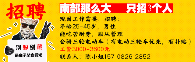 南部县本地招聘 南部县本地招聘网