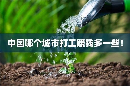 去哪个城市打工最挣钱 去哪个城市打工最挣钱呢