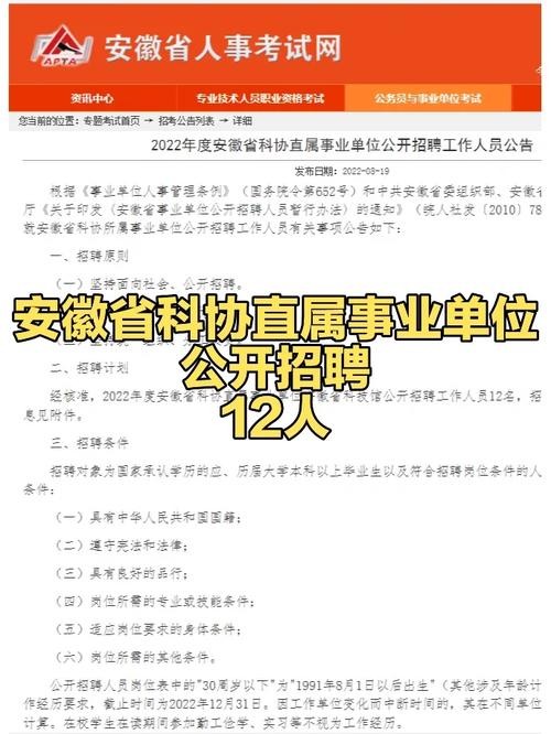 合肥本地招聘网站 合肥本地招聘网站有哪些