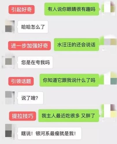 和招聘的人聊微信怎么开头 招聘聊天怎么开场白