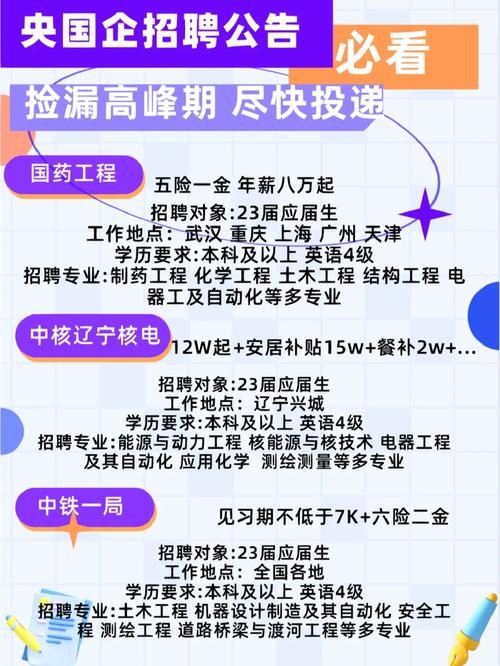 国企央企2024年招聘网秋招 社会招聘进国企