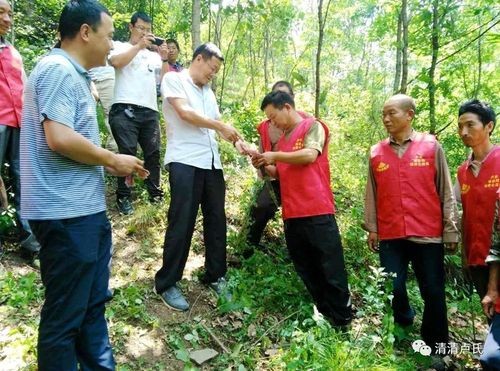 在本地哪里有护林员招聘 在哪里可以找到护林员工作