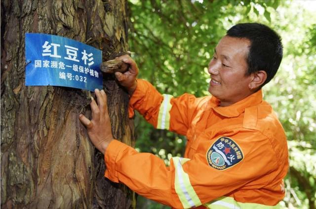 在本地哪里有护林员招聘 在哪里可以找到护林员工作