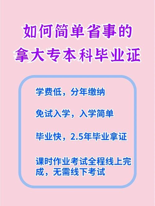 大专是什么学历 本科是什么学历