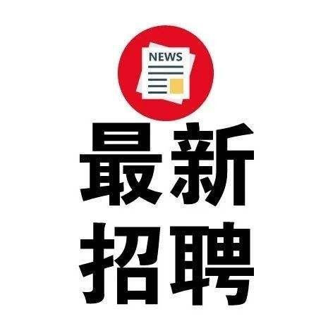 大新本地招聘 大新招聘网