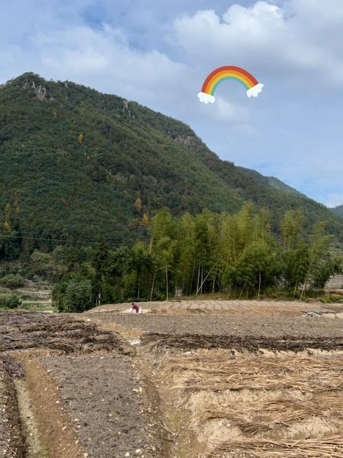 大溪本地招聘网站有哪些 大溪招聘信息