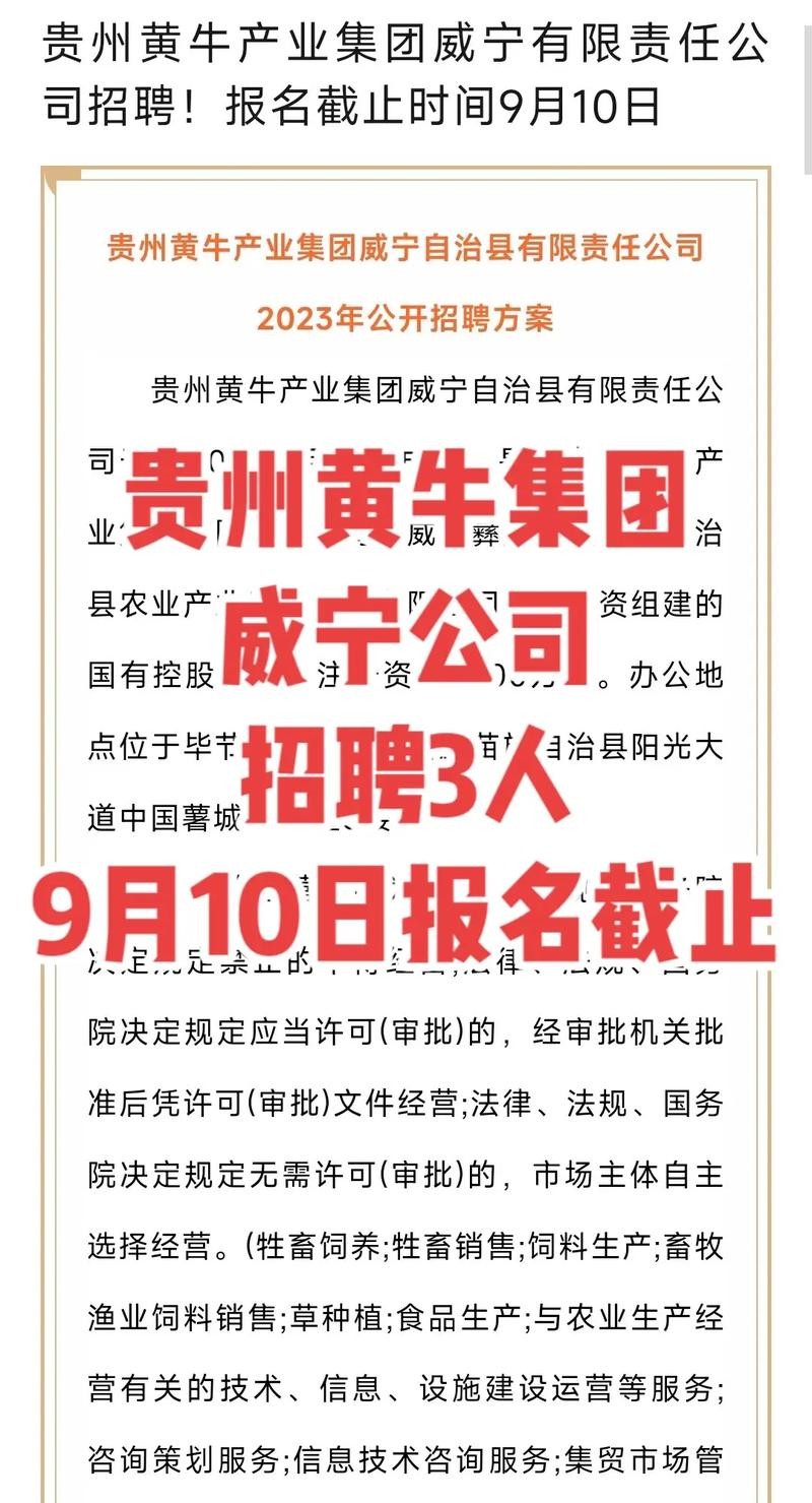 威宁本地招聘岗位有哪些 威宁县招聘网