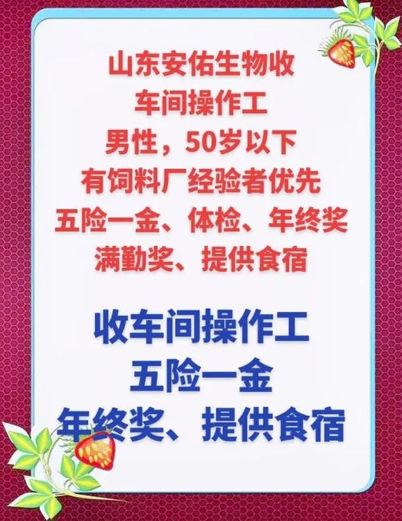 山东本地招聘信息 山东本地招聘信息网