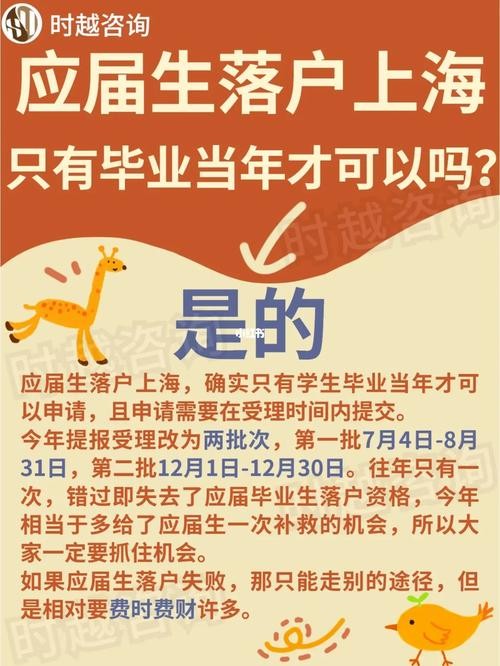 应届毕业生可以干什么 应届毕业生能干什么