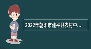 建平本地招聘信息 建平本地招聘信息网