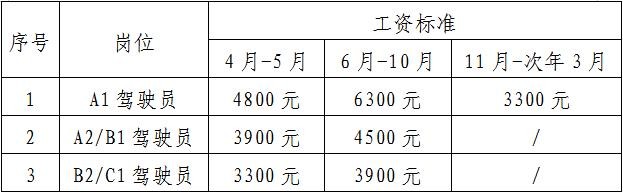 张掖本地司机招聘 张掖司机招聘最新消息