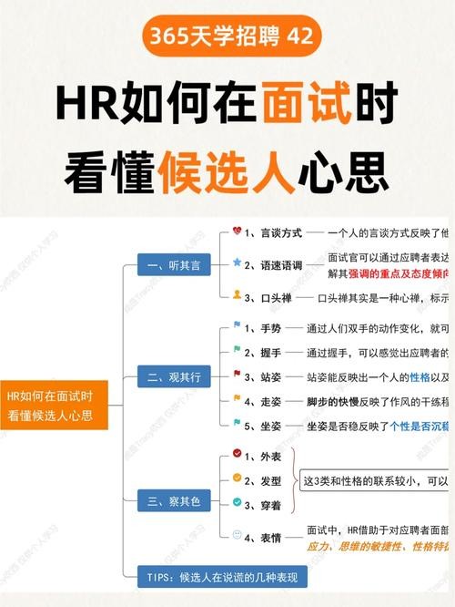 怎样面试候选人 hr如何面试候选人