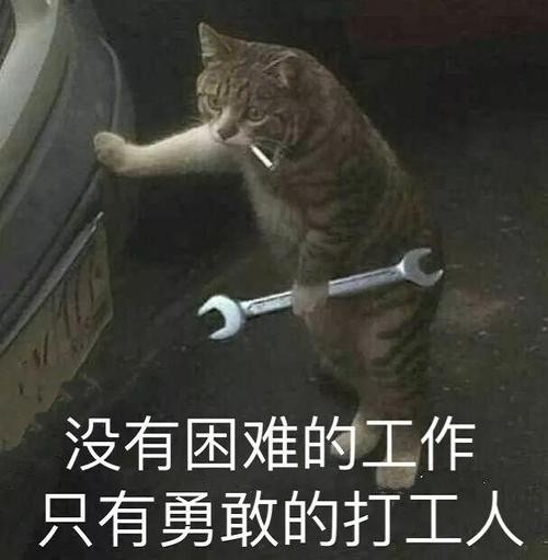 打工时是什么意思 什么叫打工