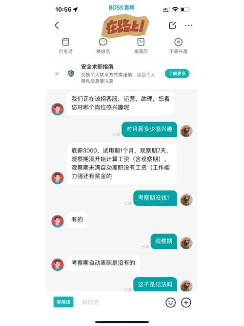 找工作怎么开头聊天还要人 网上找工作开头聊天