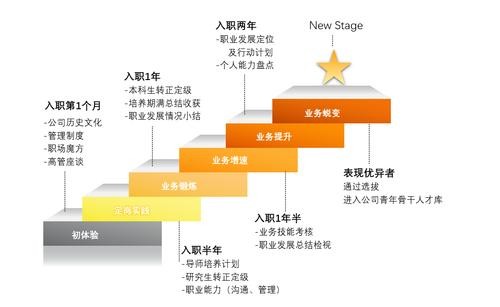 招聘的五个阶段如何分布