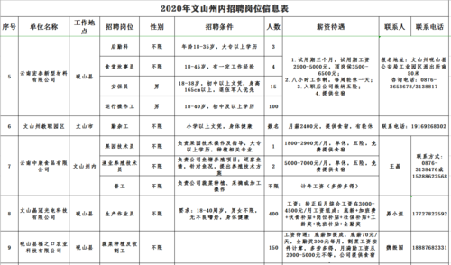 文山本地最新招聘信息网