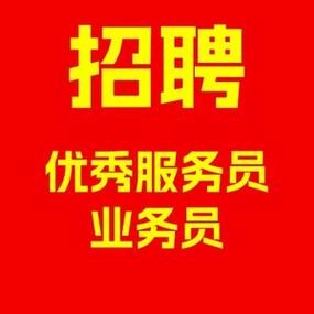 文峰本地最新招聘信息 文峰股份招聘