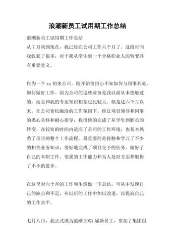 新员工试用期个人小结 新员工试用期个人小结50字怎么写