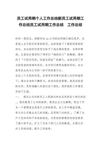 新员工试用期个人小结 新员工试用期个人小结50字怎么写