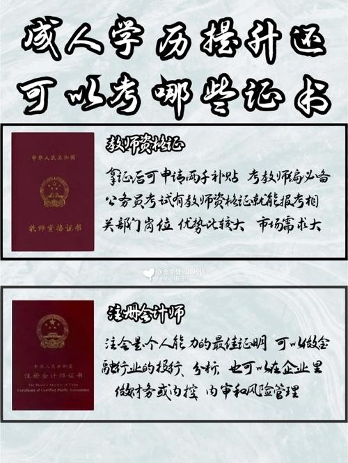 无学历可以考什么证 小学学历可以考什么证