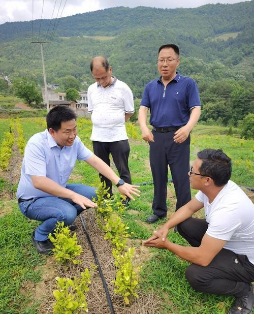 旺苍本地招聘最新 旺苍招聘网