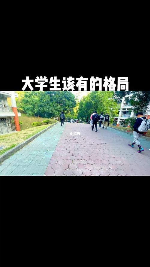 普通大学生出路在哪里 普通大学生出来能干嘛