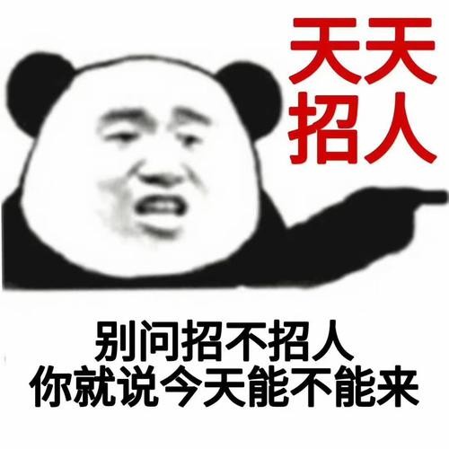 本地人招聘是什么梗