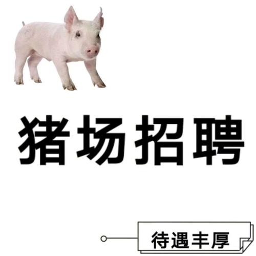 本地养猪招聘网站有哪些 养猪企业招聘