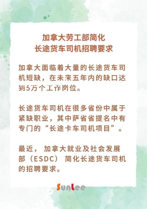 本地司机招聘条件 本地司机招聘条件是什么