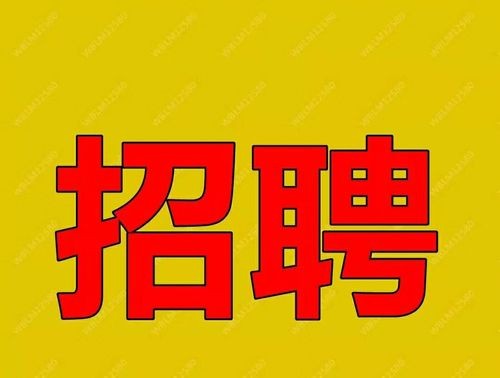 本地外墙维修招聘 本地外墙维修招聘最新信息