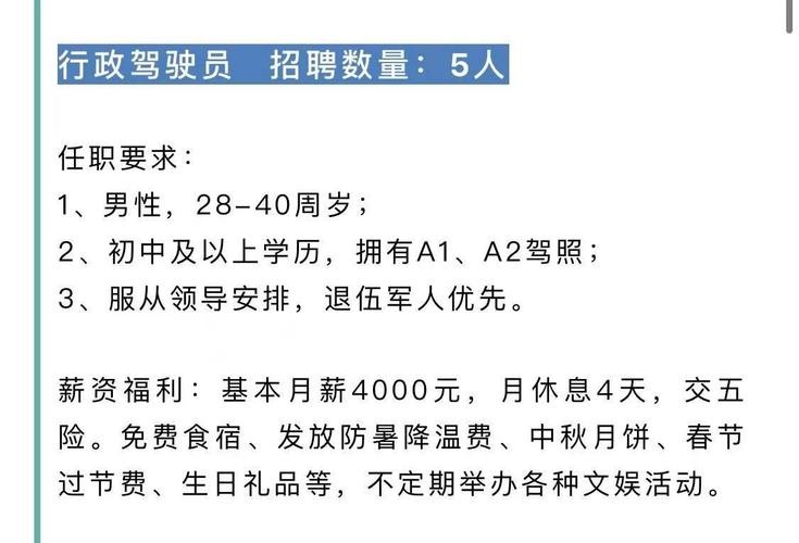 本地招聘 驾驶员信息网 招聘网驾驶员招工