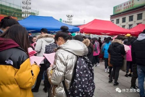 林芝本地招聘网站有哪些 林芝本地招聘网站有哪些网