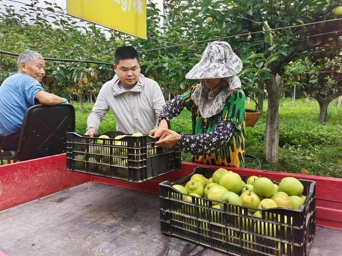 梨树招聘求职本地 梨树人才招聘信息