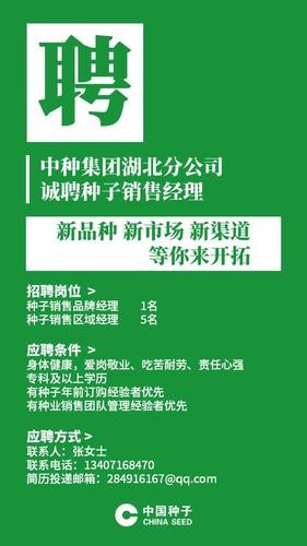 武汉本地企业招聘 武汉本地企业招聘信息网