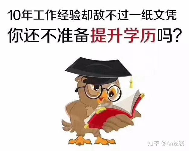 没学历和经验可以做的工作